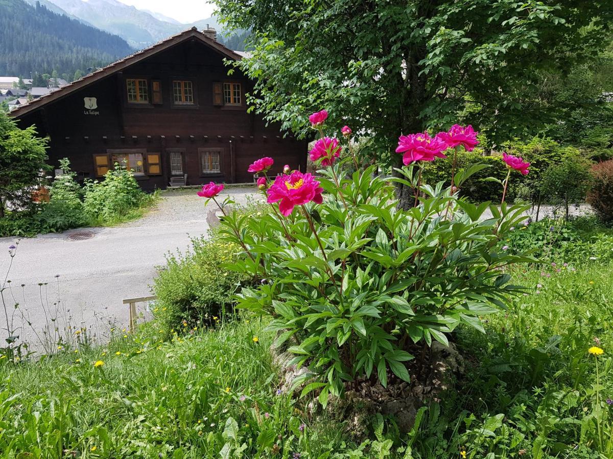 Le Castor Bed & Breakfast *